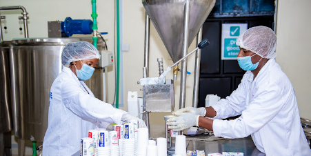 Dairy workers using yogurt-making equipment including a cup filler and sealer in a milk processing facility in Kenya