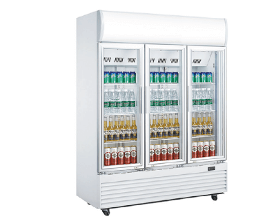 showing display reach in chillers in kenya price