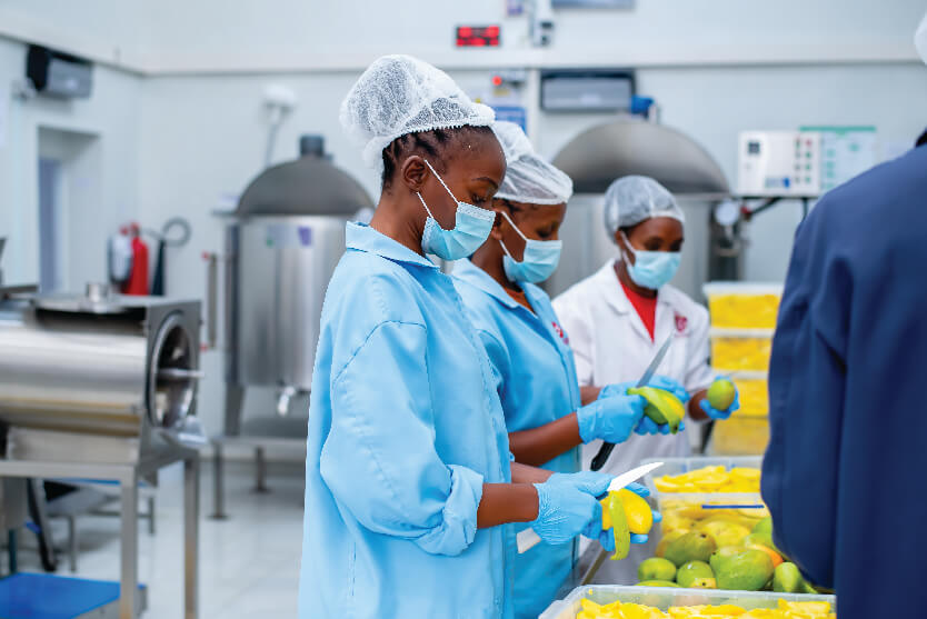 Mango Fruit Juice Processing